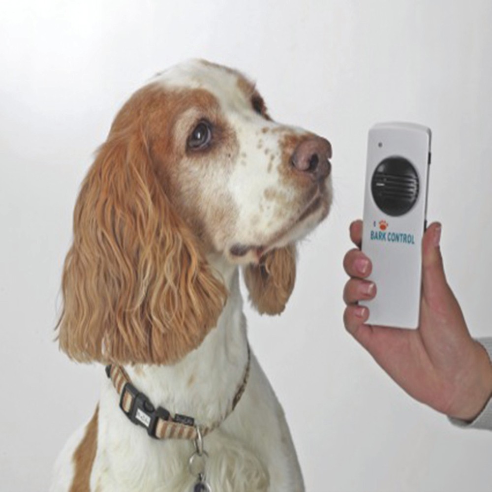 Bark Buster