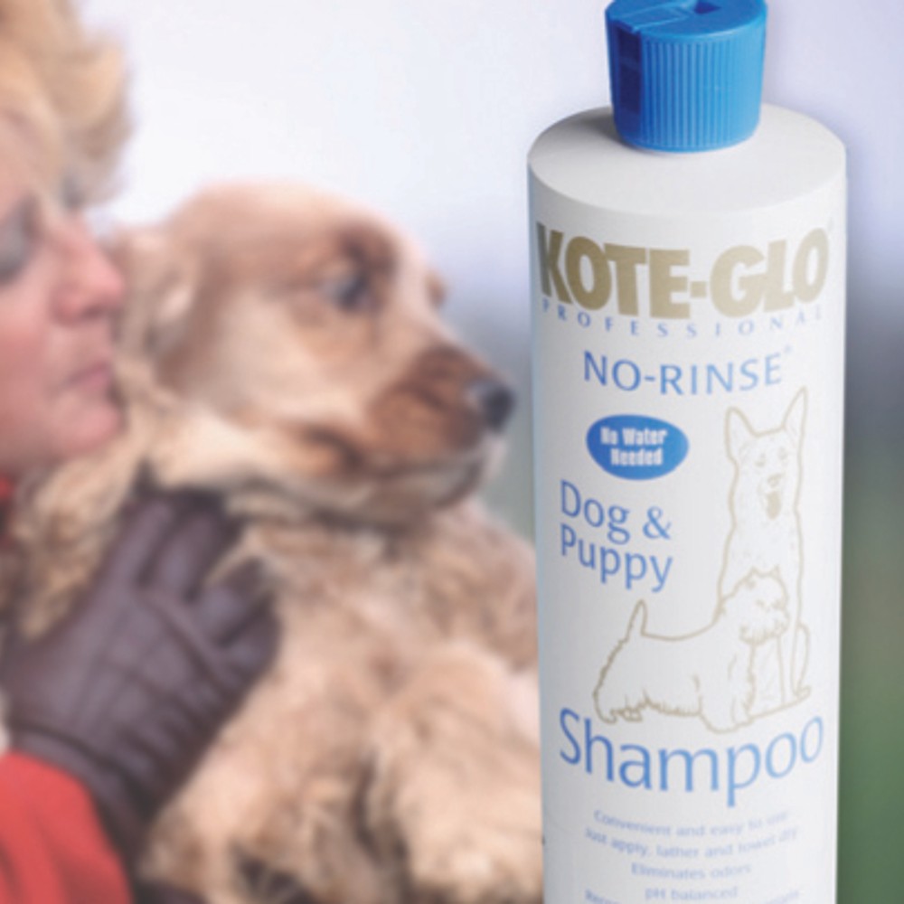 No Rinse Dog Shampoo
