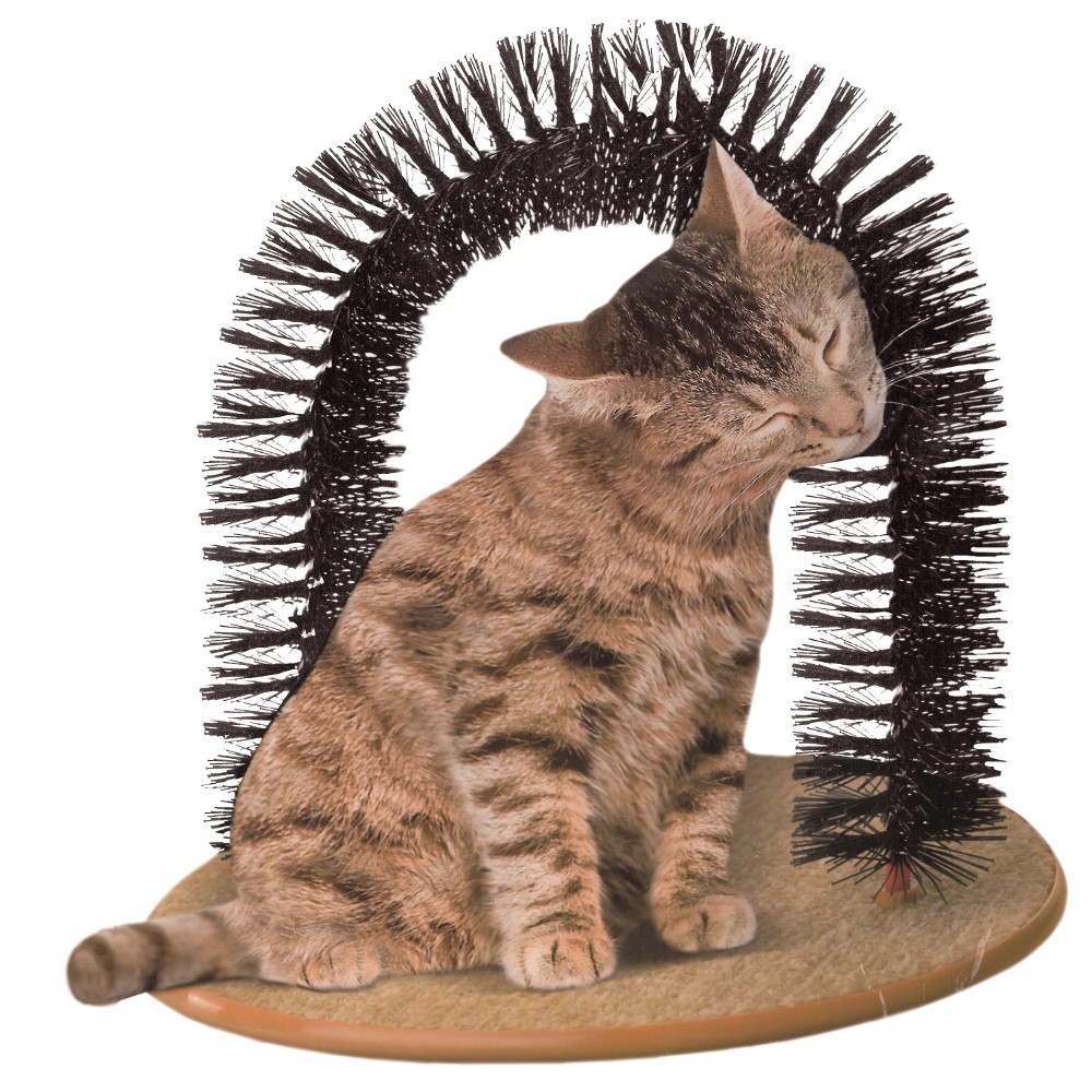 Purrfect Arch