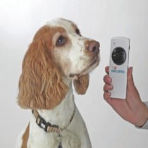 Bark Buster