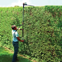 Eckman 2-In-1 Hedge Trimmer & Chainsaw