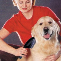 Iconic Pet Brush
