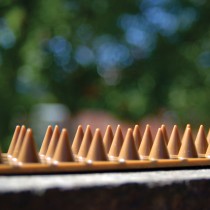 Spikey - Pack of 10