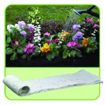 Flowering Carpet