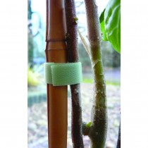 Quick Wrap Plant Tape