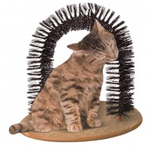Purrfect Arch