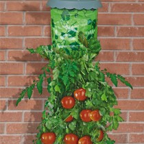 Upside Down Garden - Tomato