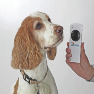 Bark Buster