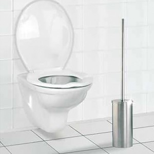 Extra Long Toilet Brush
