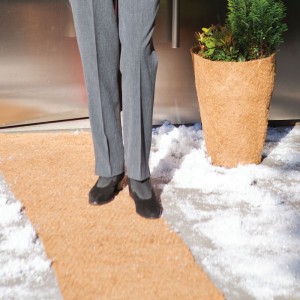 Non-slip Ice Mat