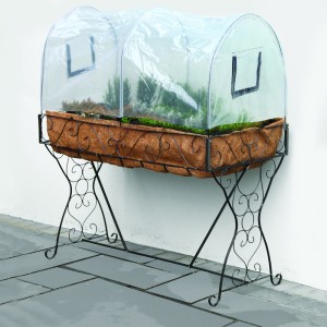 Ornate Iron Planter