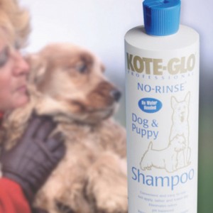 No Rinse Dog Shampoo