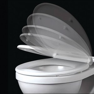 Soft Close Toilet Seat